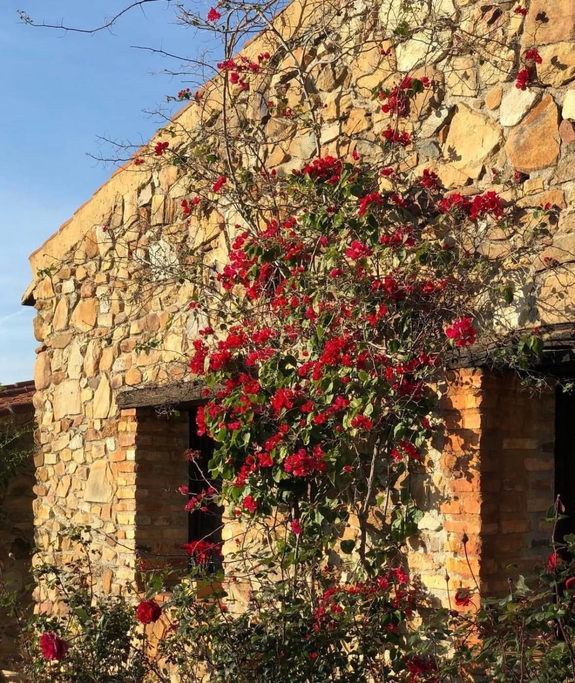 Juan Gallegos Finca Los Caleros מראה חיצוני תמונה