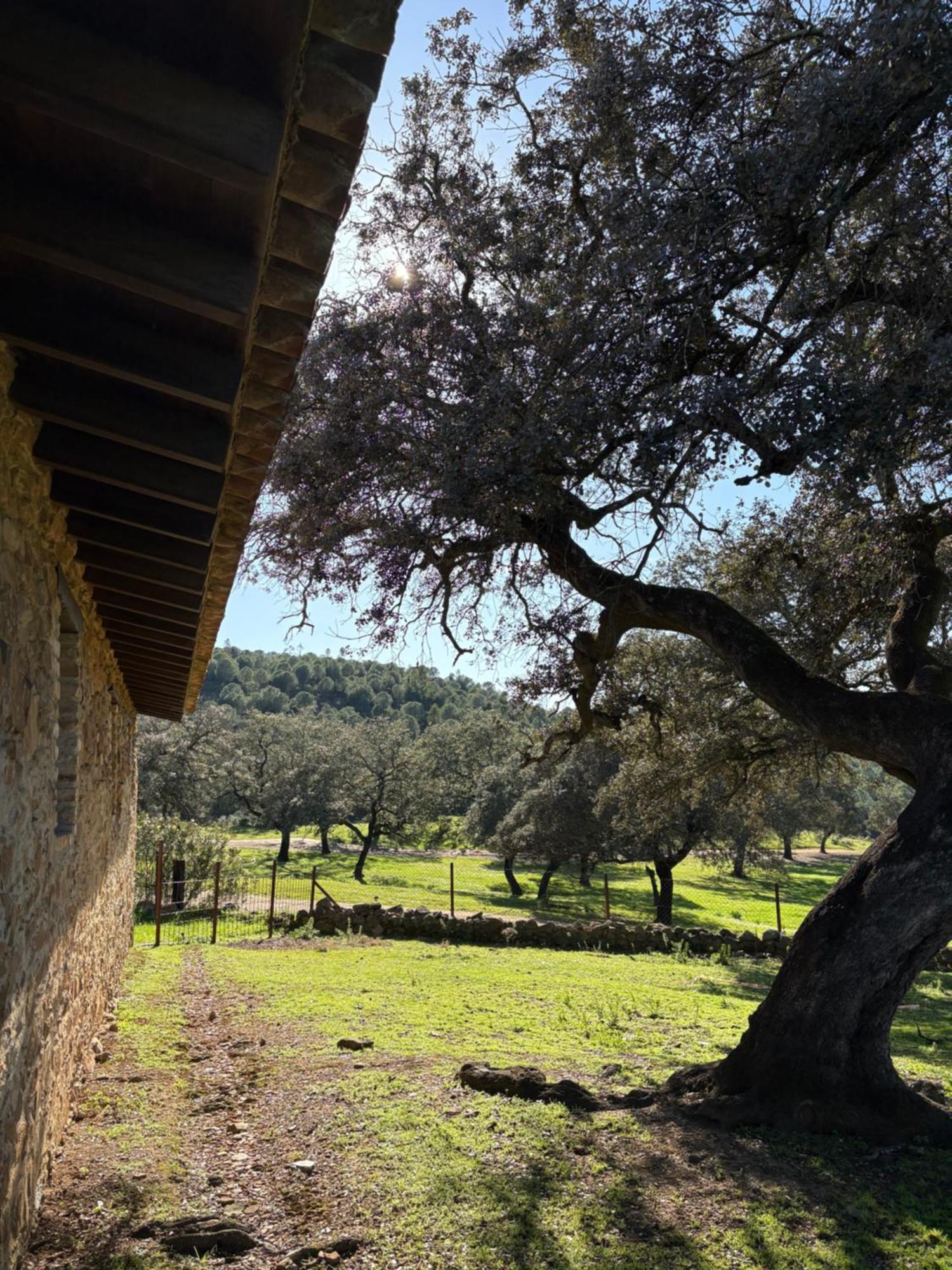 Juan Gallegos Finca Los Caleros מראה חיצוני תמונה