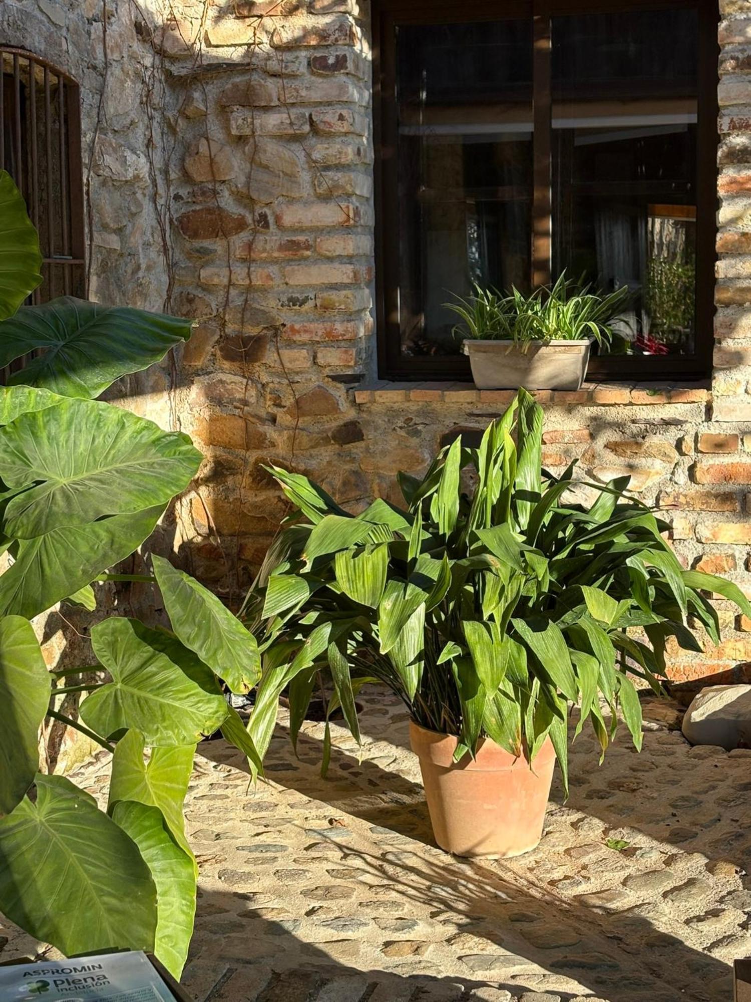 Juan Gallegos Finca Los Caleros מראה חיצוני תמונה